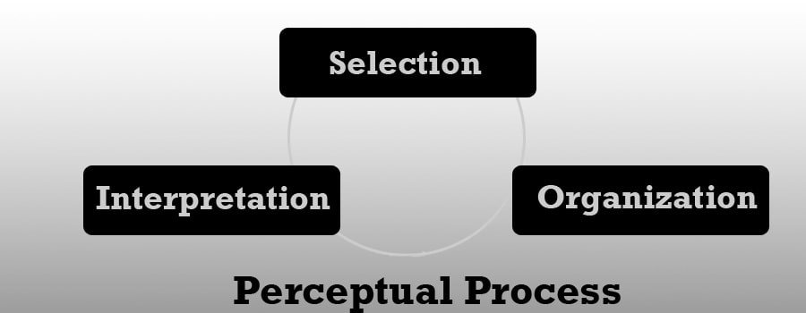 perceptual process