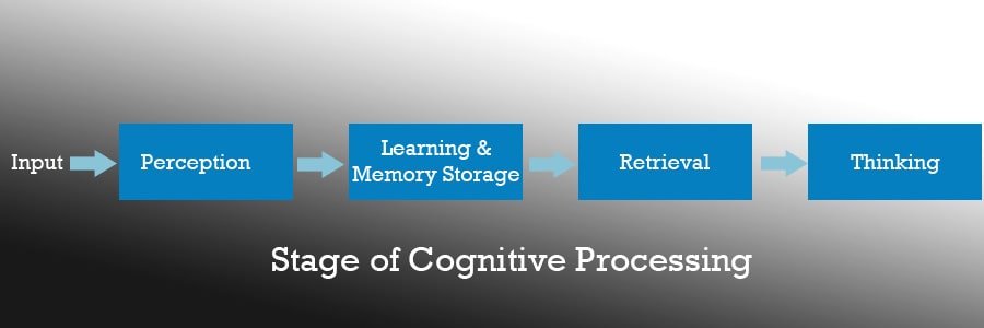 stage of cognitive processing