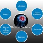 cognitive Psychology