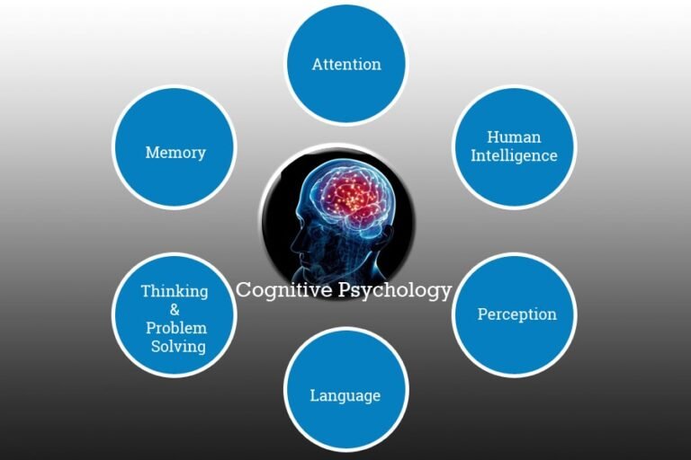 Cognitive Psychology How We Process Information To Think Onlinemkt 