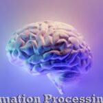 information processing bias