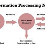 information processing system