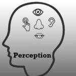 perception