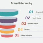 brand hierarchies