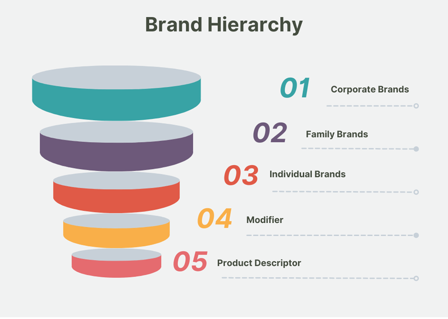 brand hierarchies