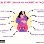 Key Symptoms of an Anxiety Attack