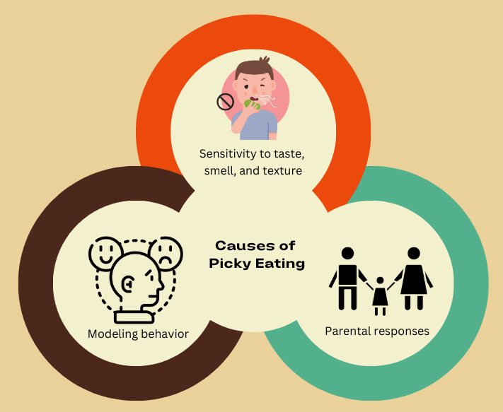 Causes of Picky Eating